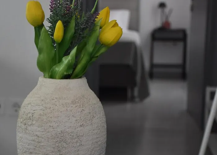 Bleu Soleil Appartement